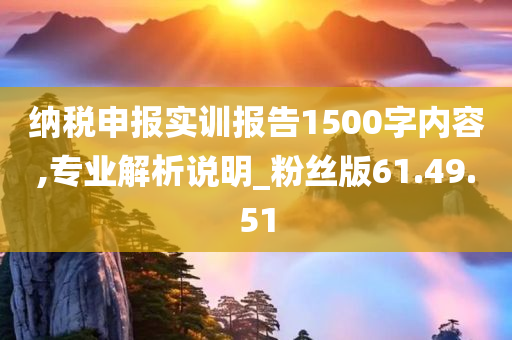 纳税申报实训报告1500字内容,专业解析说明_粉丝版61.49.51