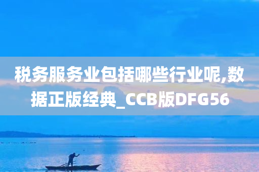 税务服务业包括哪些行业呢,数据正版经典_CCB版DFG56