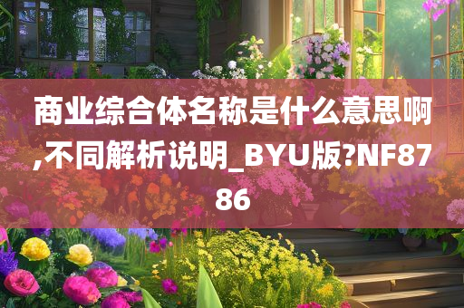 商业综合体名称是什么意思啊,不同解析说明_BYU版?NF8786