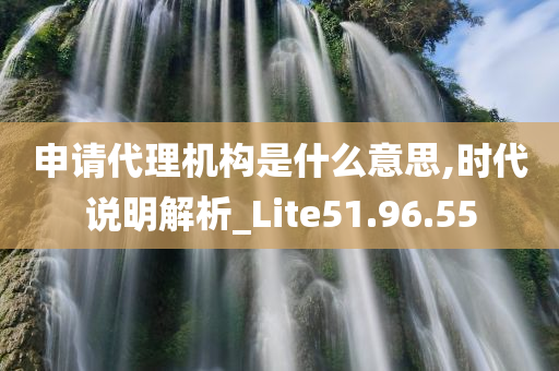 申请代理机构是什么意思,时代说明解析_Lite51.96.55