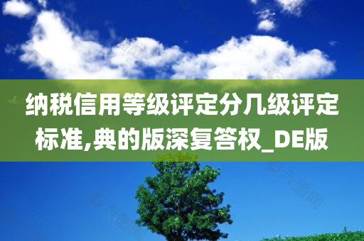 纳税信用等级评定分几级评定标准,典的版深复答权_DE版