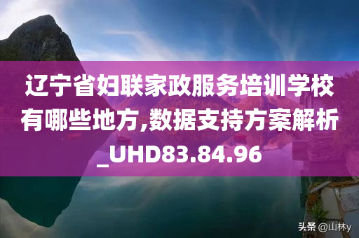 辽宁省妇联家政服务培训学校有哪些地方,数据支持方案解析_UHD83.84.96