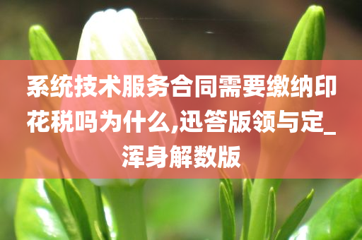 系统技术服务合同需要缴纳印花税吗为什么,迅答版领与定_浑身解数版