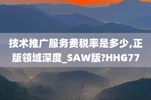 技术推广服务费税率是多少,正版领域深度_SAW版?HHG77