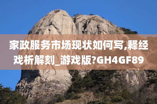 家政服务市场现状如何写,释经戏析解刻_游戏版?GH4GF89