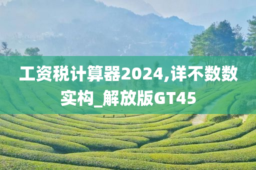 工资税计算器2024,详不数数实构_解放版GT45