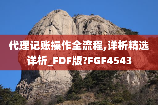 代理记账操作全流程,详析精选详析_FDF版?FGF4543