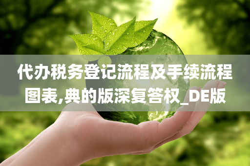 代办税务登记流程及手续流程图表,典的版深复答权_DE版