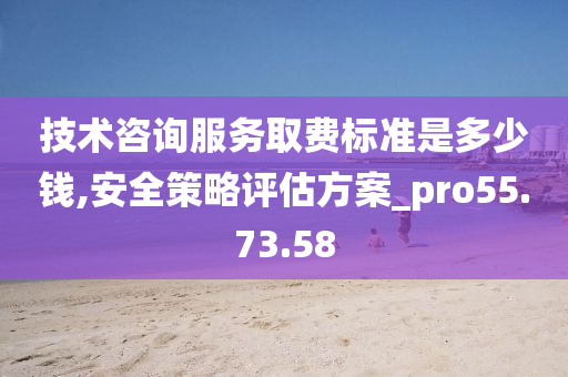 技术咨询服务取费标准是多少钱,安全策略评估方案_pro55.73.58