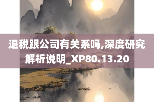 退税跟公司有关系吗,深度研究解析说明_XP80.13.20