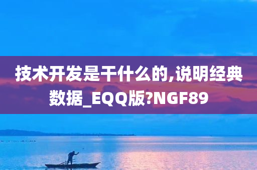 技术开发是干什么的,说明经典数据_EQQ版?NGF89