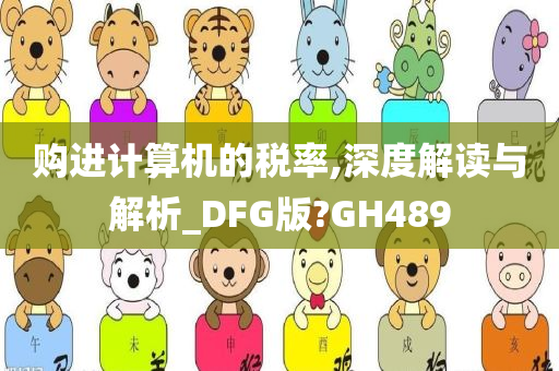 购进计算机的税率,深度解读与解析_DFG版?GH489