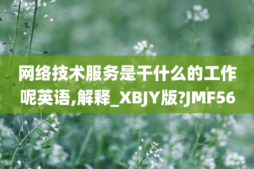 网络技术服务是干什么的工作呢英语,解释_XBJY版?JMF56