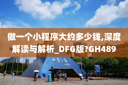 做一个小程序大约多少钱,深度解读与解析_DFG版?GH489