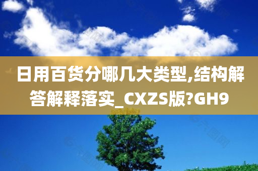 日用百货分哪几大类型,结构解答解释落实_CXZS版?GH9