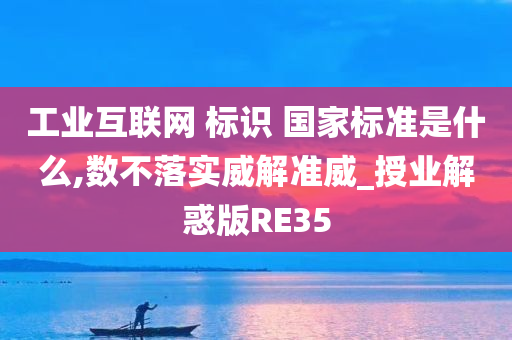 工业互联网 标识 国家标准是什么,数不落实威解准威_授业解惑版RE35