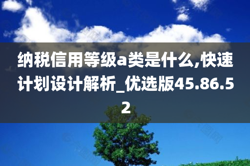 纳税信用等级a类是什么,快速计划设计解析_优选版45.86.52