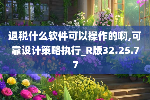 退税什么软件可以操作的啊,可靠设计策略执行_R版32.25.77