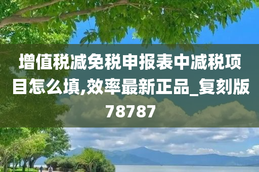 增值税减免税申报表中减税项目怎么填,效率最新正品_复刻版78787