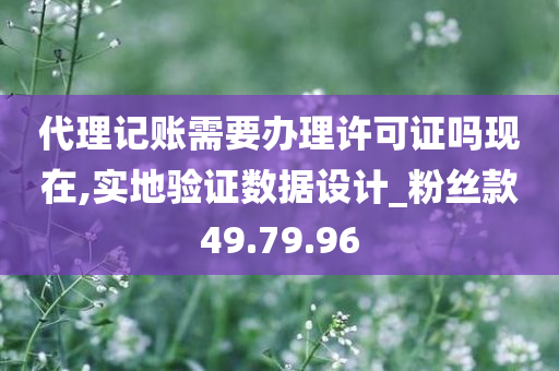 代理记账需要办理许可证吗现在,实地验证数据设计_粉丝款49.79.96