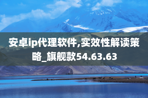 安卓ip代理软件,实效性解读策略_旗舰款54.63.63