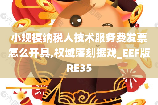 小规模纳税人技术服务费发票怎么开具,权域落刻据戏_EEF版RE35