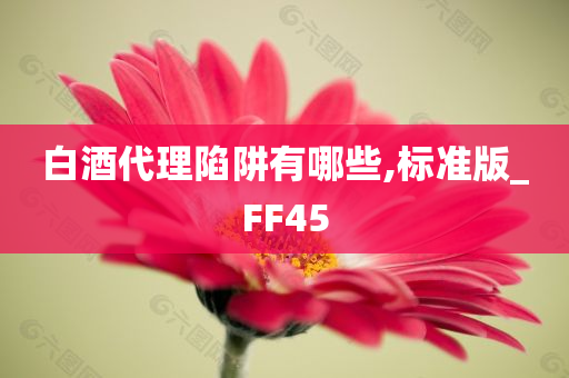 白酒代理陷阱有哪些,标准版_FF45