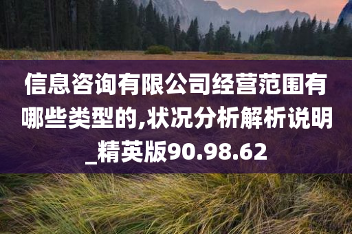 信息咨询有限公司经营范围有哪些类型的,状况分析解析说明_精英版90.98.62