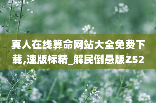 真人在线算命网站大全免费下载,速版标精_解民倒悬版ZS2