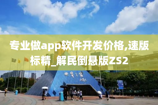 专业做app软件开发价格,速版标精_解民倒悬版ZS2