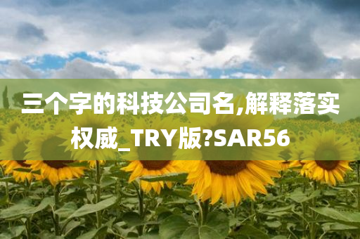 三个字的科技公司名,解释落实权威_TRY版?SAR56