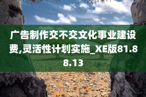 广告制作交不交文化事业建设费,灵活性计划实施_XE版81.88.13