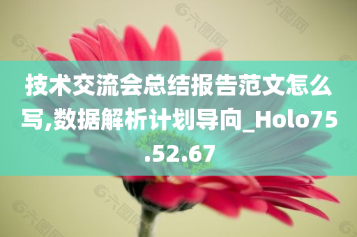 技术交流会总结报告范文怎么写,数据解析计划导向_Holo75.52.67