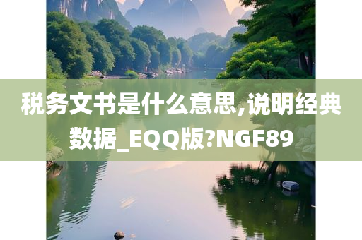 税务文书是什么意思,说明经典数据_EQQ版?NGF89