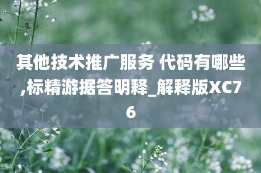 其他技术推广服务 代码有哪些,标精游据答明释_解释版XC76