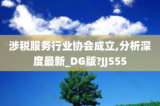 涉税服务行业协会成立,分析深度最新_DG版?JJ555