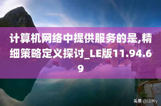 计算机网络中提供服务的是,精细策略定义探讨_LE版11.94.69