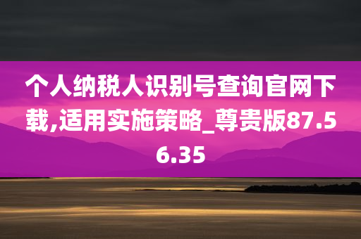 个人纳税人识别号查询官网下载,适用实施策略_尊贵版87.56.35