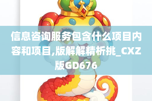 信息咨询服务包含什么项目内容和项目,版解解精析挑_CXZ版GD676