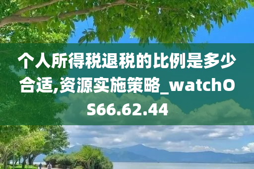 个人所得税退税的比例是多少合适,资源实施策略_watchOS66.62.44