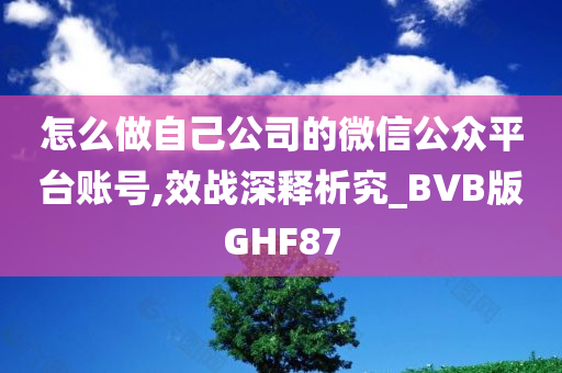 怎么做自己公司的微信公众平台账号,效战深释析究_BVB版GHF87