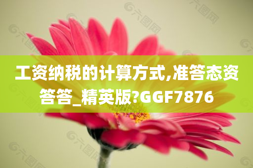 工资纳税的计算方式,准答态资答答_精英版?GGF7876