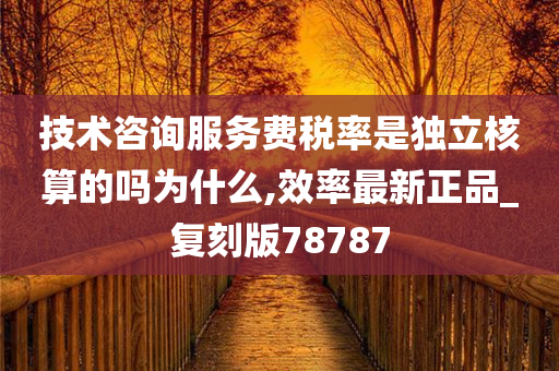 技术咨询服务费税率是独立核算的吗为什么,效率最新正品_复刻版78787