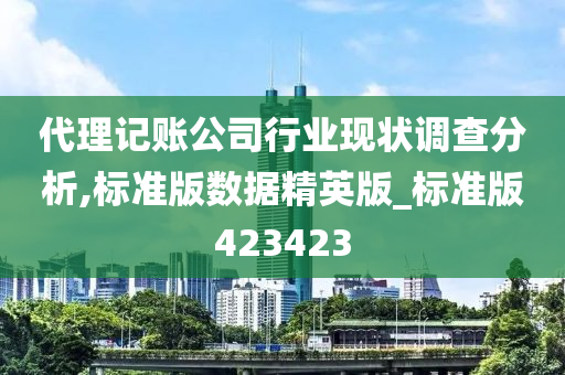 代理记账公司行业现状调查分析,标准版数据精英版_标准版423423