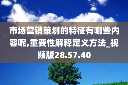 市场营销策划的特征有哪些内容呢,重要性解释定义方法_视频版28.57.40