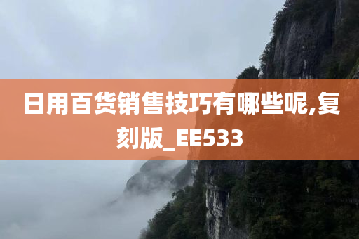 日用百货销售技巧有哪些呢,复刻版_EE533