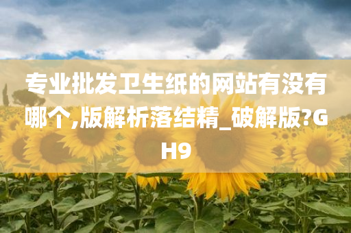 专业批发卫生纸的网站有没有哪个,版解析落结精_破解版?GH9