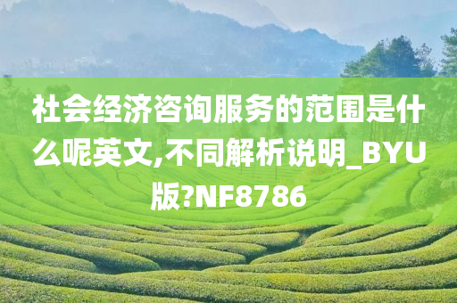 社会经济咨询服务的范围是什么呢英文,不同解析说明_BYU版?NF8786