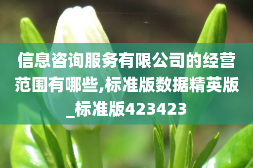 信息咨询服务有限公司的经营范围有哪些,标准版数据精英版_标准版423423