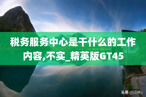 税务服务中心是干什么的工作内容,不实_精英版GT45